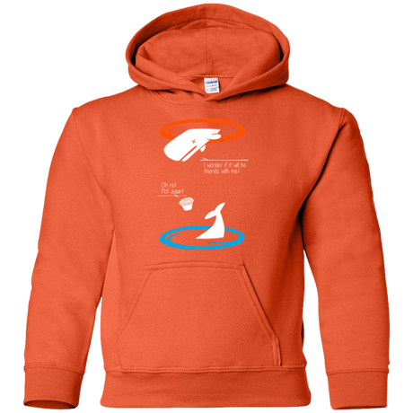 Sweatshirts Orange / YS Portal guide Youth Hoodie