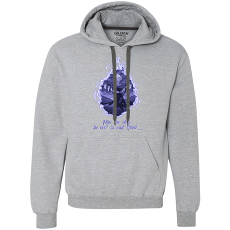 Sweatshirts Sport Grey / Small Potter Games Premium Fleece Hoodie