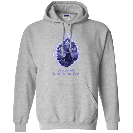 Sweatshirts Sport Grey / Small Potter Games Pullover Hoodie