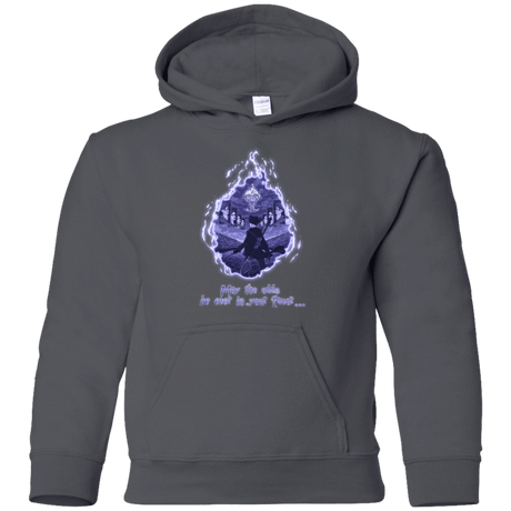 Sweatshirts Charcoal / YS Potter Games Youth Hoodie