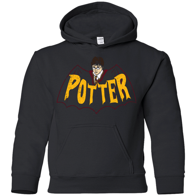 Sweatshirts Black / YS Potter Youth Hoodie