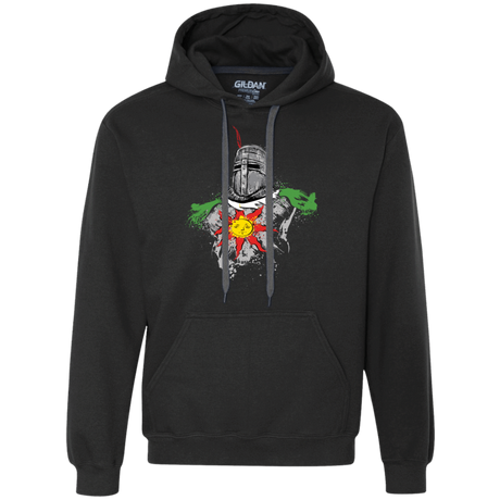 Sweatshirts Black / Small Praise the sun Premium Fleece Hoodie