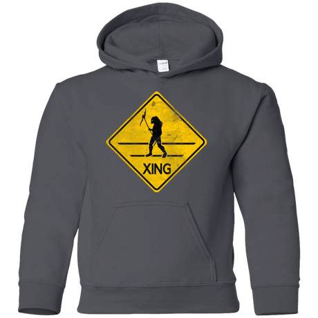 Sweatshirts Charcoal / YS Predator Crossing Youth Hoodie