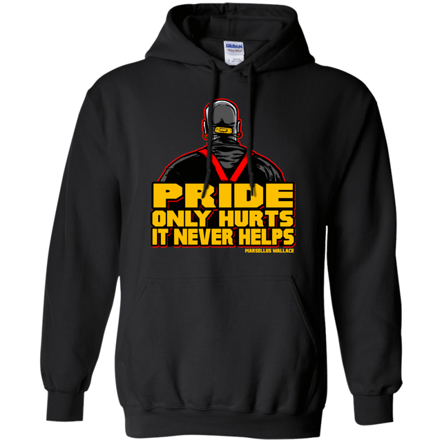 Sweatshirts Black / S Pride Pullover Hoodie