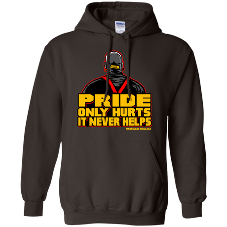 Sweatshirts Dark Chocolate / S Pride Pullover Hoodie