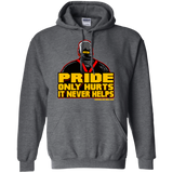 Sweatshirts Dark Heather / S Pride Pullover Hoodie