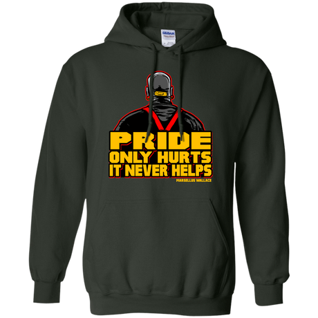 Sweatshirts Forest Green / S Pride Pullover Hoodie