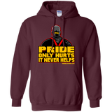 Sweatshirts Maroon / S Pride Pullover Hoodie
