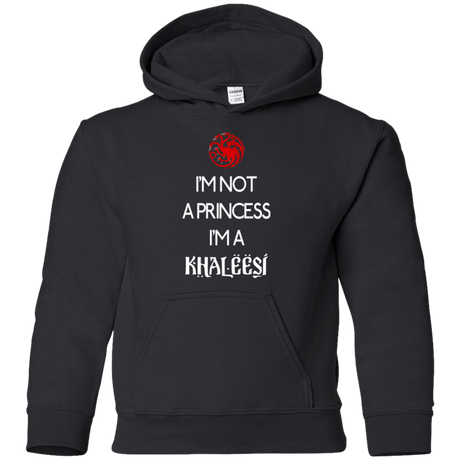 Sweatshirts Black / YS Princess Khaleesi Youth Hoodie