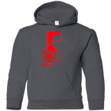 Sweatshirts Charcoal / YS Profile - Pirate King Youth Hoodie