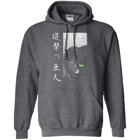 Sweatshirts Protect the Wall Pullover Hoodie