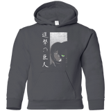 Sweatshirts Charcoal / YS Protect the Wall Youth Hoodie