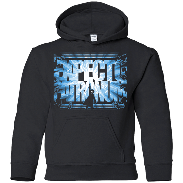 Sweatshirts Black / YS Protector Charm Youth Hoodie