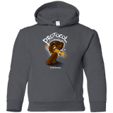 Sweatshirts Charcoal / YS Protocol Blues Youth Hoodie