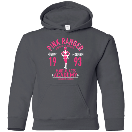 Sweatshirts Charcoal / YS Pterodactyl Ranger Youth Hoodie