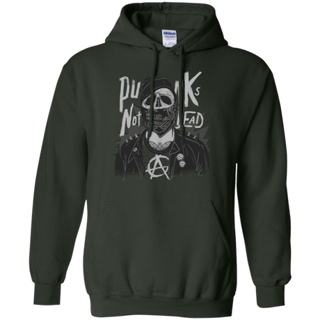 Sweatshirts Forest Green / S PUNK SKULL Pullover Hoodie