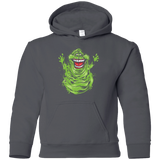 Sweatshirts Charcoal / YS Pure Ectoplasm Youth Hoodie