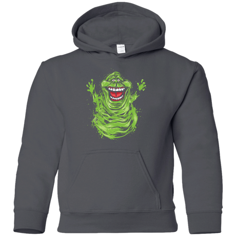 Sweatshirts Charcoal / YS Pure Ectoplasm Youth Hoodie