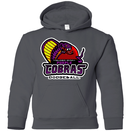 Sweatshirts Charcoal / YS Purple Cobras Youth Hoodie