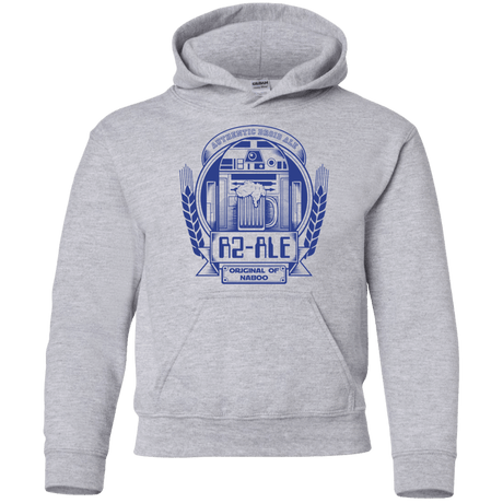 Sweatshirts Sport Grey / YS R2 Ale Youth Hoodie