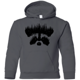 Sweatshirts Charcoal / YS Raccoon Eyes Youth Hoodie