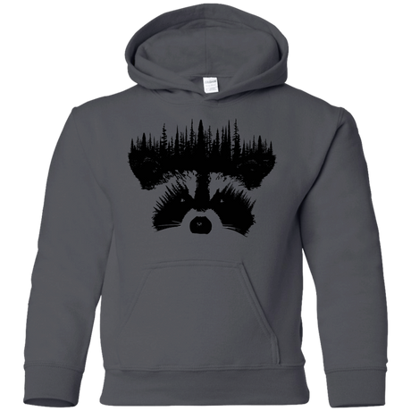 Sweatshirts Charcoal / YS Raccoon Eyes Youth Hoodie