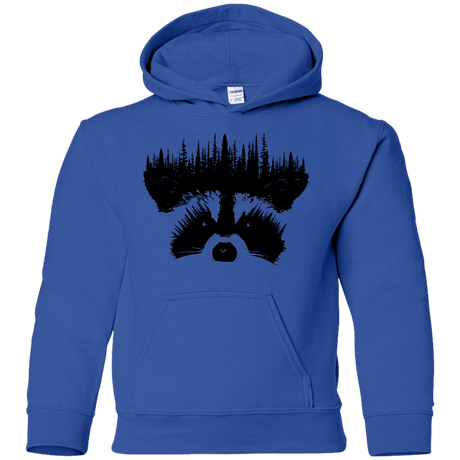 Sweatshirts Royal / YS Raccoon Eyes Youth Hoodie