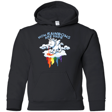 Sweatshirts Black / YS Rainblows Youth Hoodie