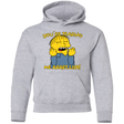 Sweatshirts Sport Grey / YS Ralph Wiseau Youth Hoodie