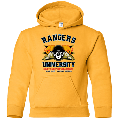 Sweatshirts Gold / YS Rangers U Black Ranger Youth Hoodie