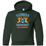 Sweatshirts Forest Green / YS Rangers U Blue Ranger Youth Hoodie