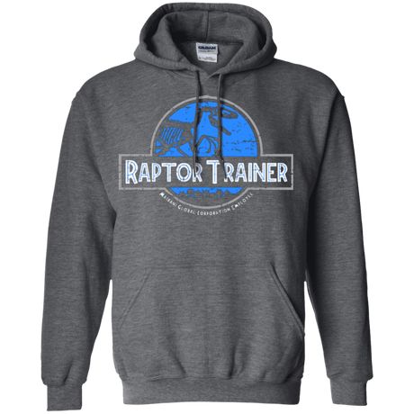 Sweatshirts Dark Heather / Small Raptor Trainer Pullover Hoodie