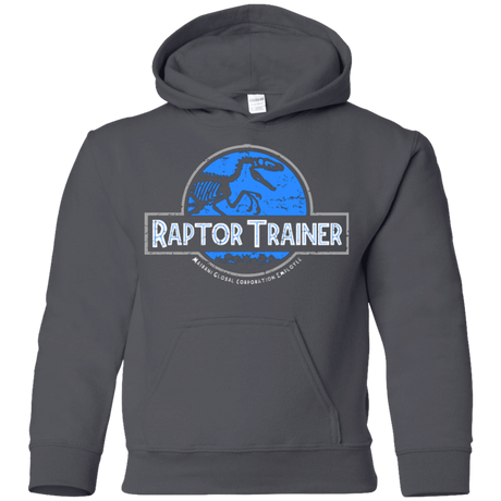 Sweatshirts Charcoal / YS Raptor Trainer Youth Hoodie