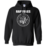 Sweatshirts Black / Small Raptores Pullover Hoodie