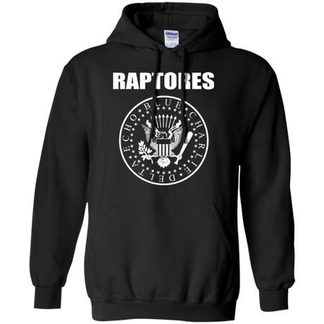 Sweatshirts Black / Small Raptores Pullover Hoodie
