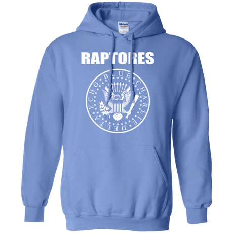 Sweatshirts Carolina Blue / Small Raptores Pullover Hoodie