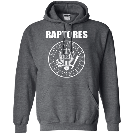 Sweatshirts Dark Heather / Small Raptores Pullover Hoodie