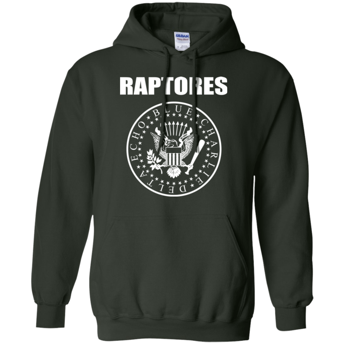 Sweatshirts Forest Green / Small Raptores Pullover Hoodie