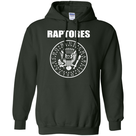 Sweatshirts Forest Green / Small Raptores Pullover Hoodie