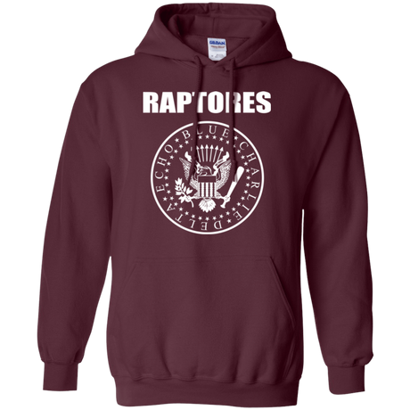 Sweatshirts Maroon / Small Raptores Pullover Hoodie