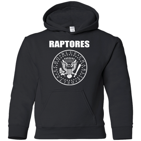 Sweatshirts Black / YS Raptores Youth Hoodie