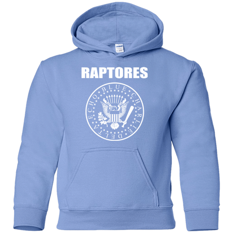 Sweatshirts Carolina Blue / YS Raptores Youth Hoodie