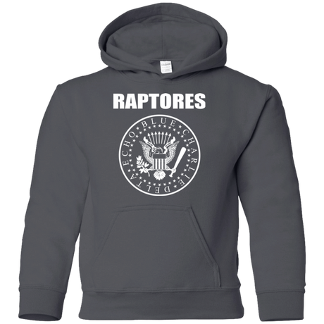 Sweatshirts Charcoal / YS Raptores Youth Hoodie