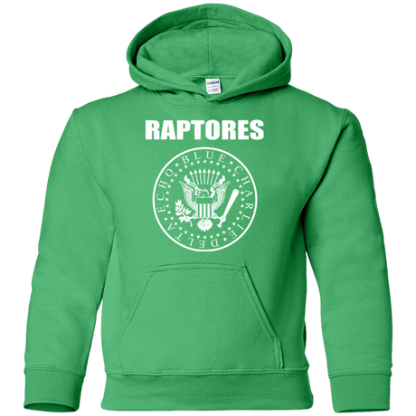 Sweatshirts Irish Green / YS Raptores Youth Hoodie
