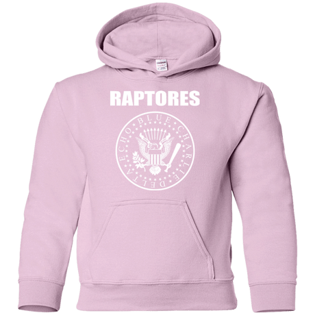 Sweatshirts Light Pink / YS Raptores Youth Hoodie