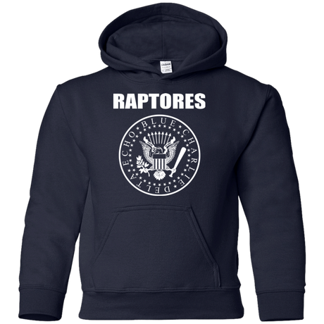 Sweatshirts Navy / YS Raptores Youth Hoodie