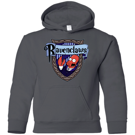 Sweatshirts Charcoal / YS Ravenclaws Youth Hoodie