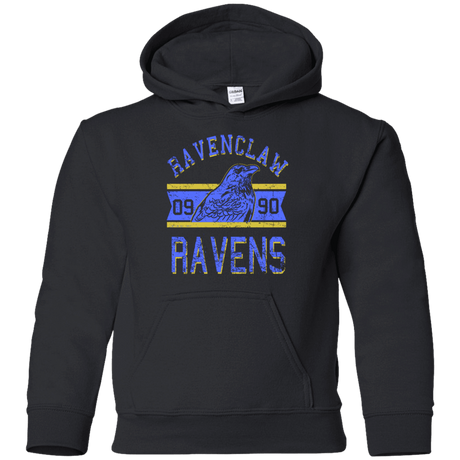 Sweatshirts Black / YS Ravens Youth Hoodie