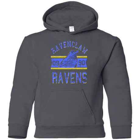 Sweatshirts Charcoal / YS Ravens Youth Hoodie