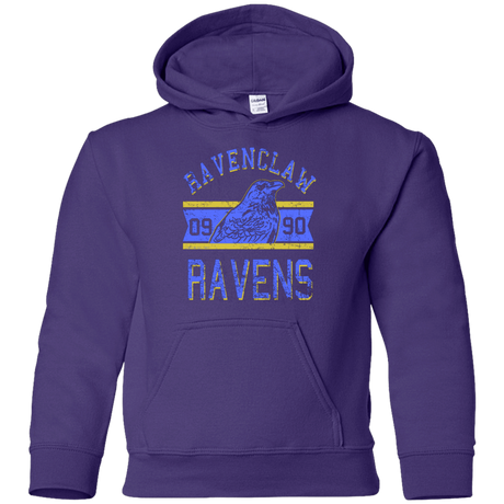 Sweatshirts Purple / YS Ravens Youth Hoodie